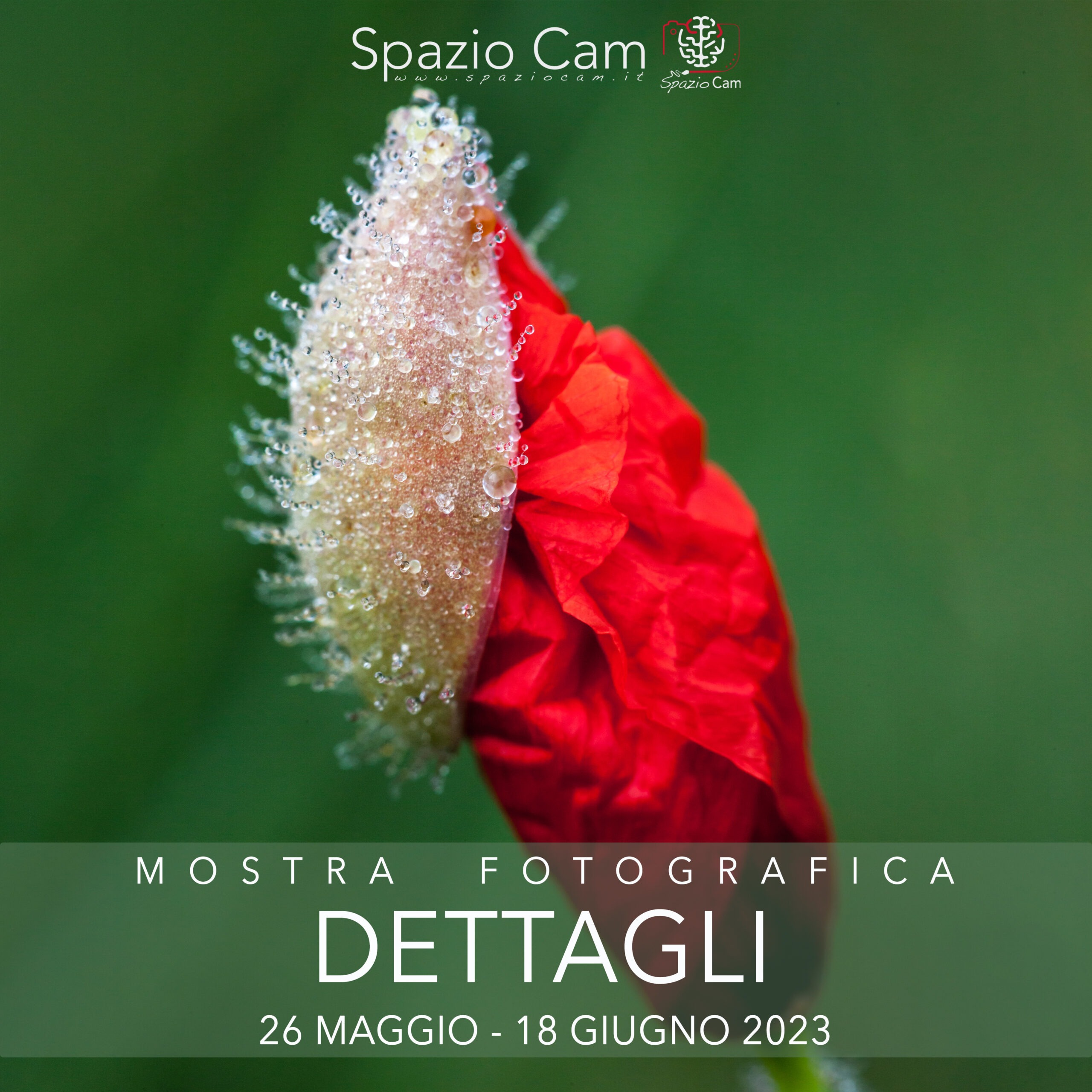 MOSTRA FOTOGRAFICA “DETTAGLI”